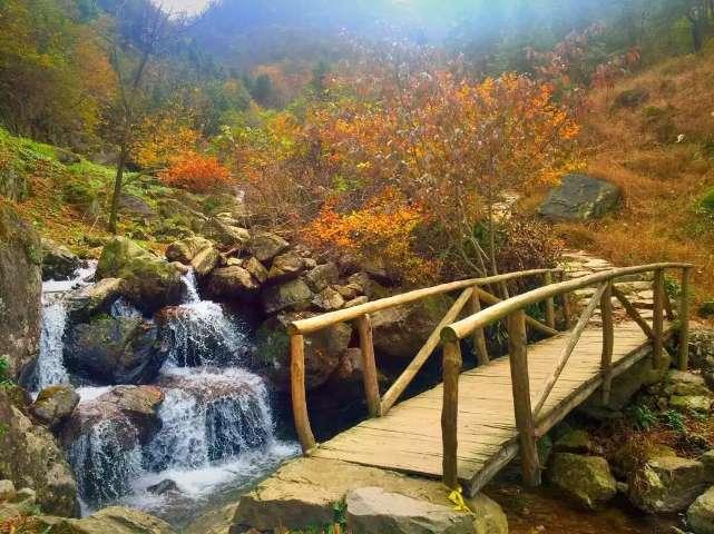 半条命：恐惧之泣
